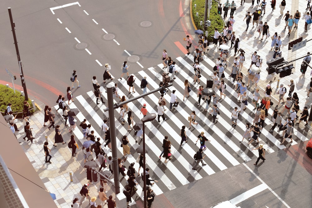 people walking on pedestrian lane during daytime